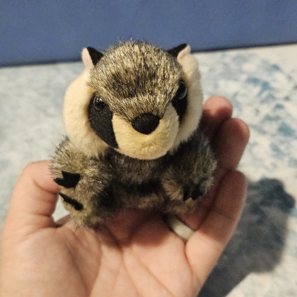 Folkmanis Raccoon Finger Puppet Plush 4"‎ 17-YM-016 - Picture 8 of 9